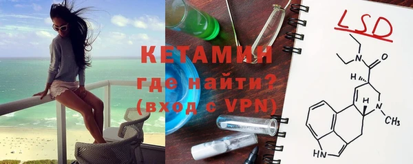 дмт Богданович