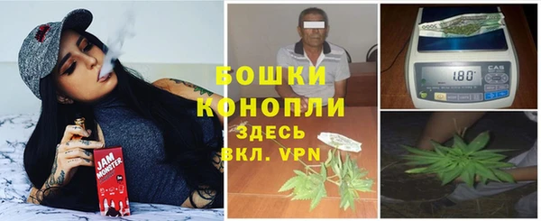 PSILOCYBIN Бородино