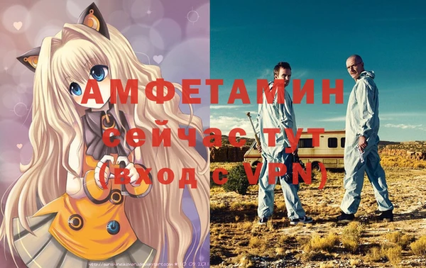 дмт Богданович