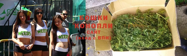 дмт Богданович