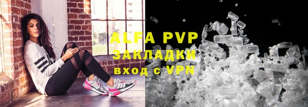 дмт Богданович