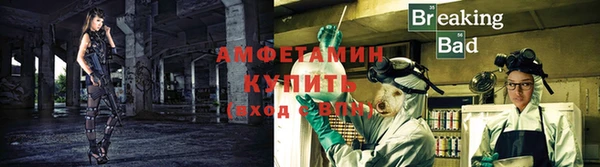 дмт Богданович