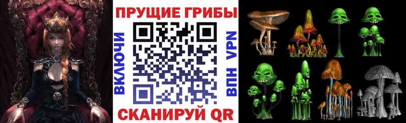Псилоцибиновые грибы Magic Shrooms Клин