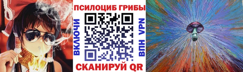 где найти наркотики  Клин  Галлюциногенные грибы Psilocybe 